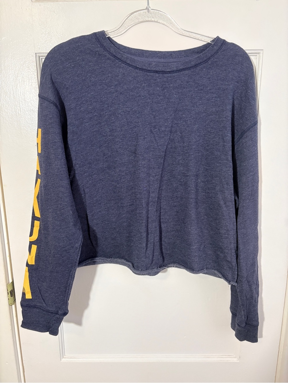 Disney The Lion King Navy Blue Graphic Sweatshirt